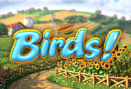 Birds slot by Betsoft