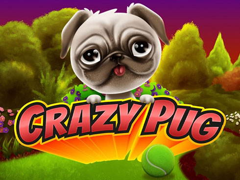 Crazy Pug slot by SwinttPremium