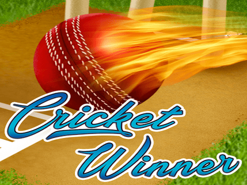 Cricket Winner slot by KA Gaming