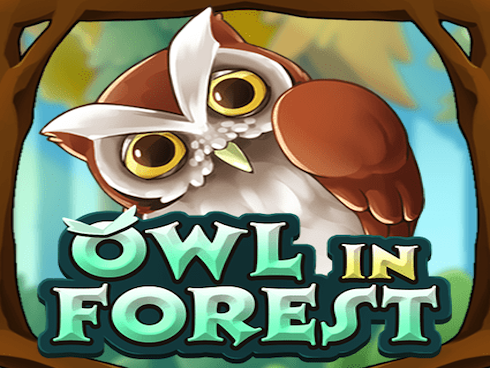 Owl In Forest slot by KA Gaming