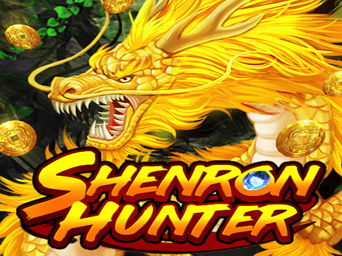 Shenron Hunter slot by KA Gaming
