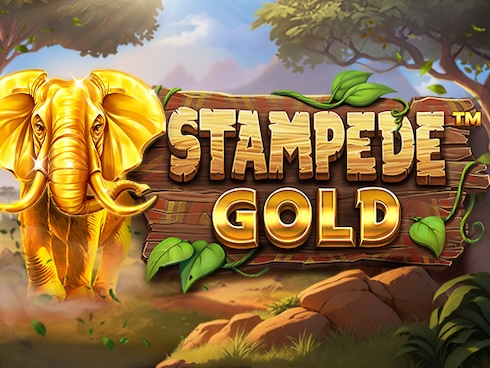 Stampede Gold slot by Betsoft