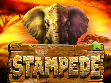 Stampede slot by Betsoft