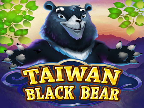 Taiwan Black Bear slot by KA Gaming