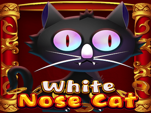 White Nose Cat slot by KA Gaming