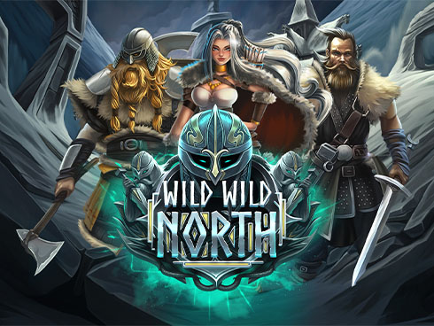 Wild Wild North slot by SwinttGames