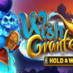 wish-granted-hero
